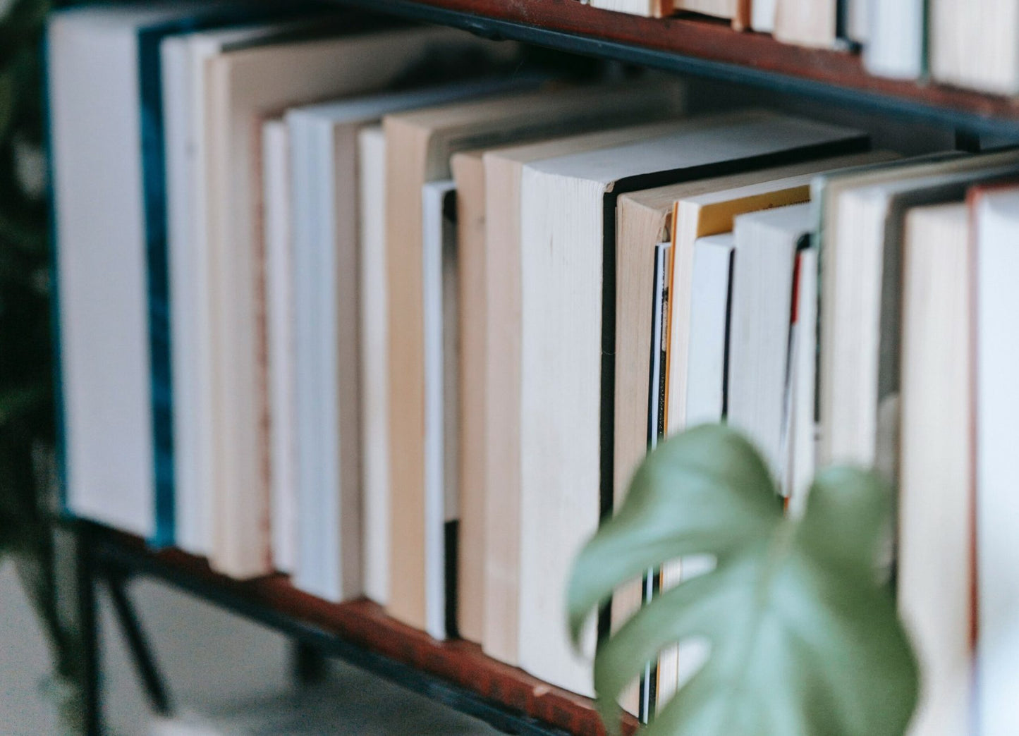 Consulenza di Decluttering