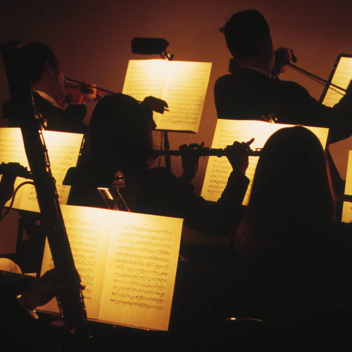 2 notti a Vienna con concerto di Vivaldi nella chiesa di San Carlo Borromeo