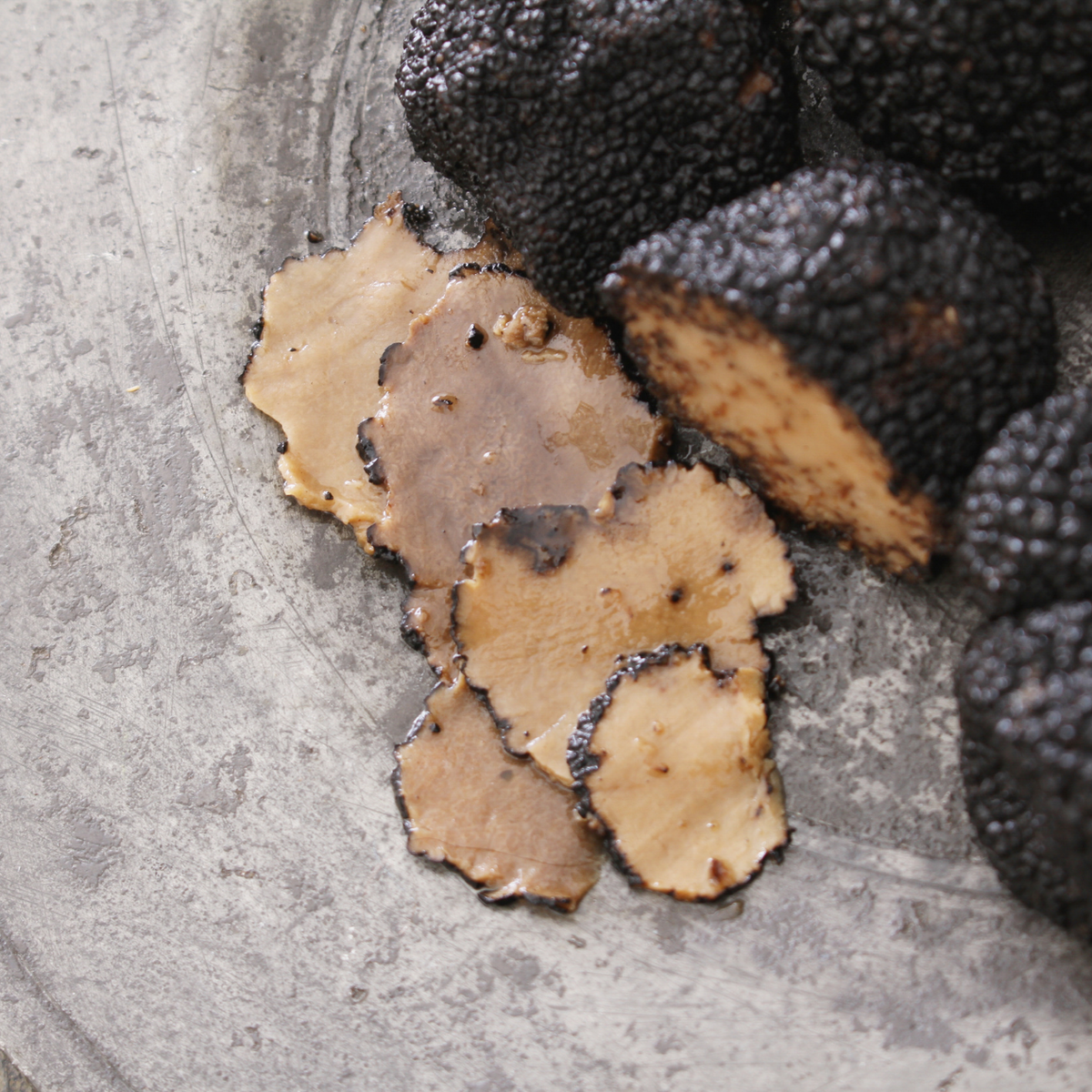 Caccia al tartufo