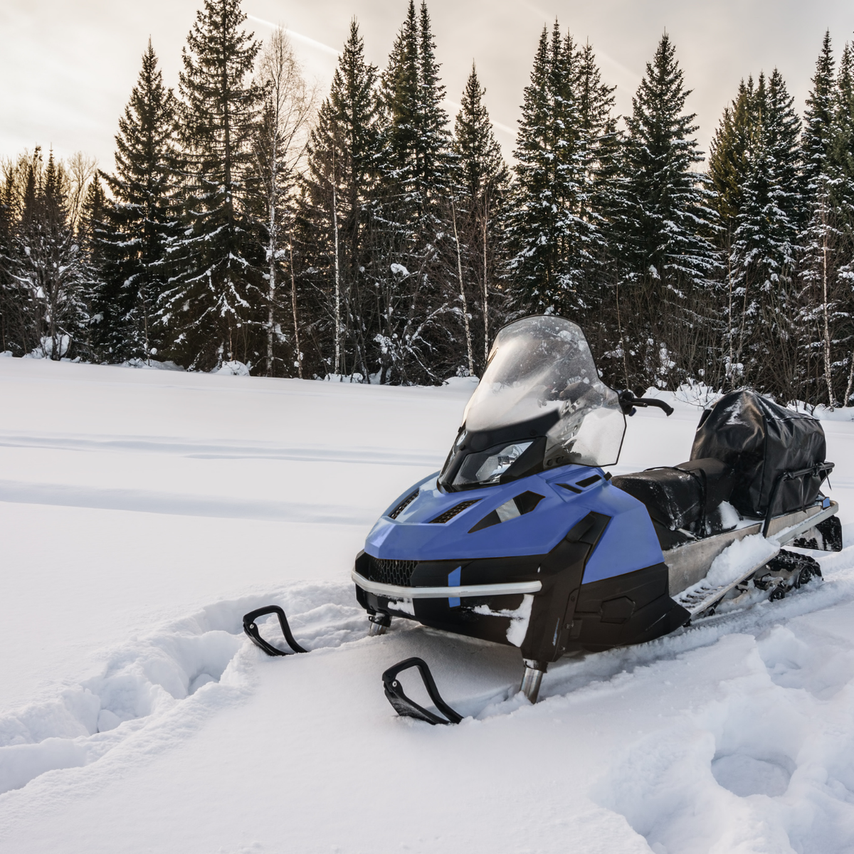 Escursione in motoslitta sulla neve