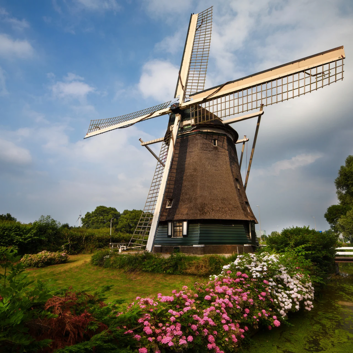 Formaggi, mulini e canali: weekend ad Amsterdam