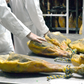 Fuga gourmet a Barcellona con degustazione di jamón ibérico de bellota