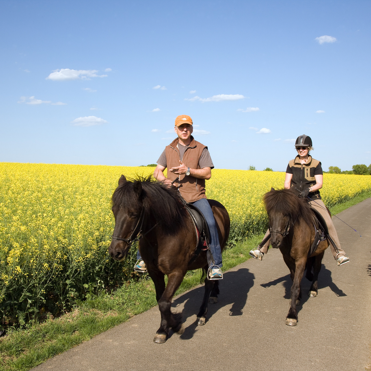 Passeggiata a Cavallo