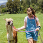 Passeggiata con gli alpaca