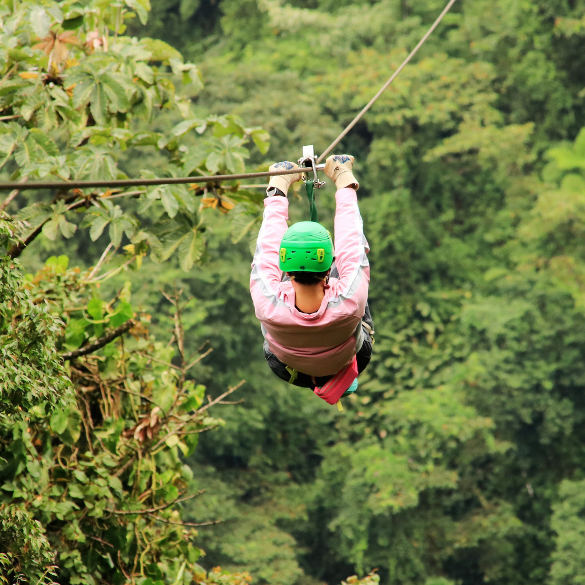 Zipline tra le vette