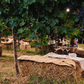 Aperitivo al tramonto in vigna