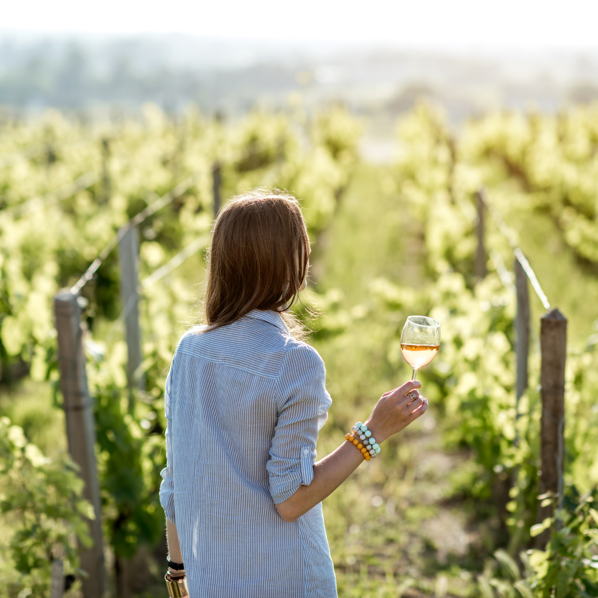 Degustazione di vini e visita della cantina