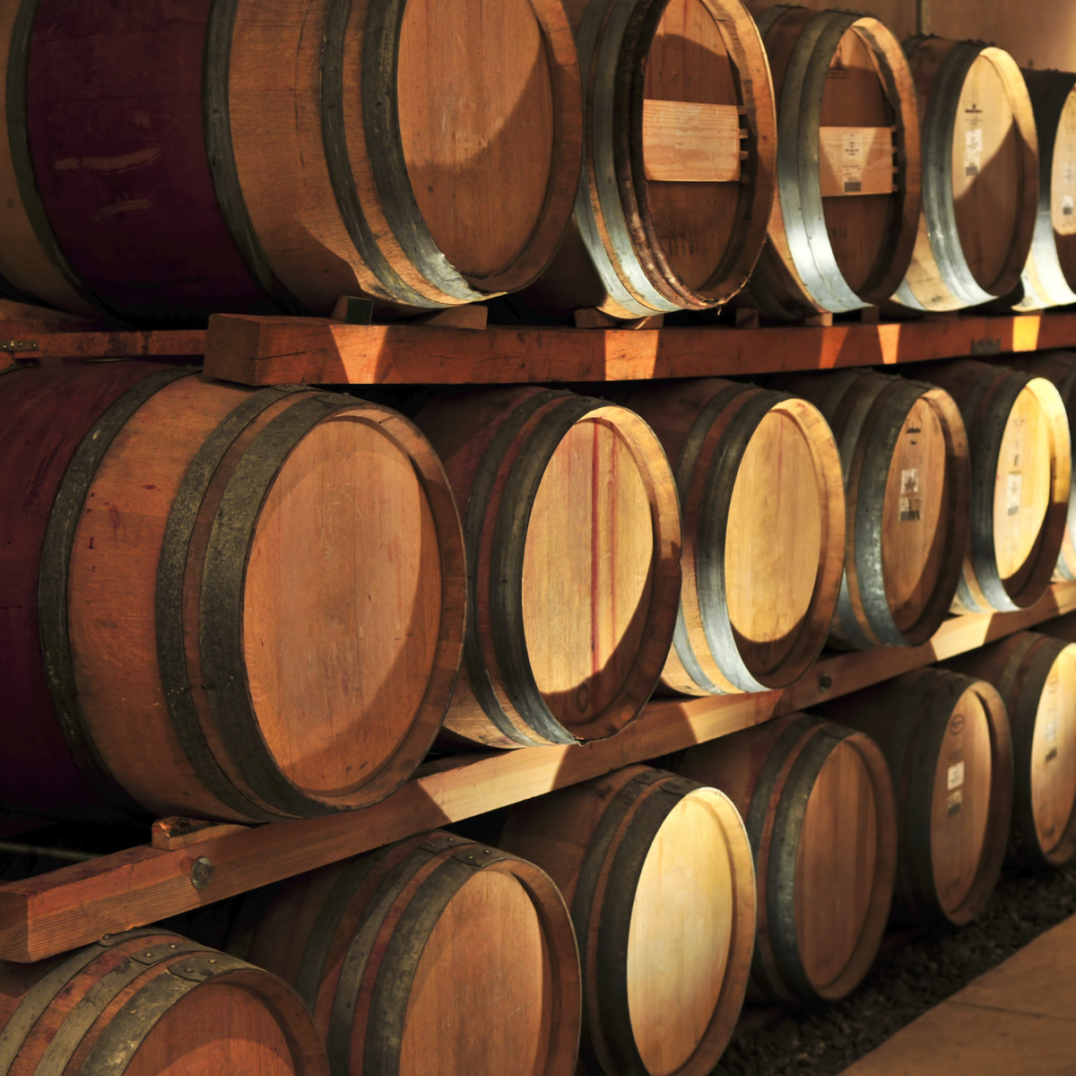 Degustazione di vini e visita della cantina