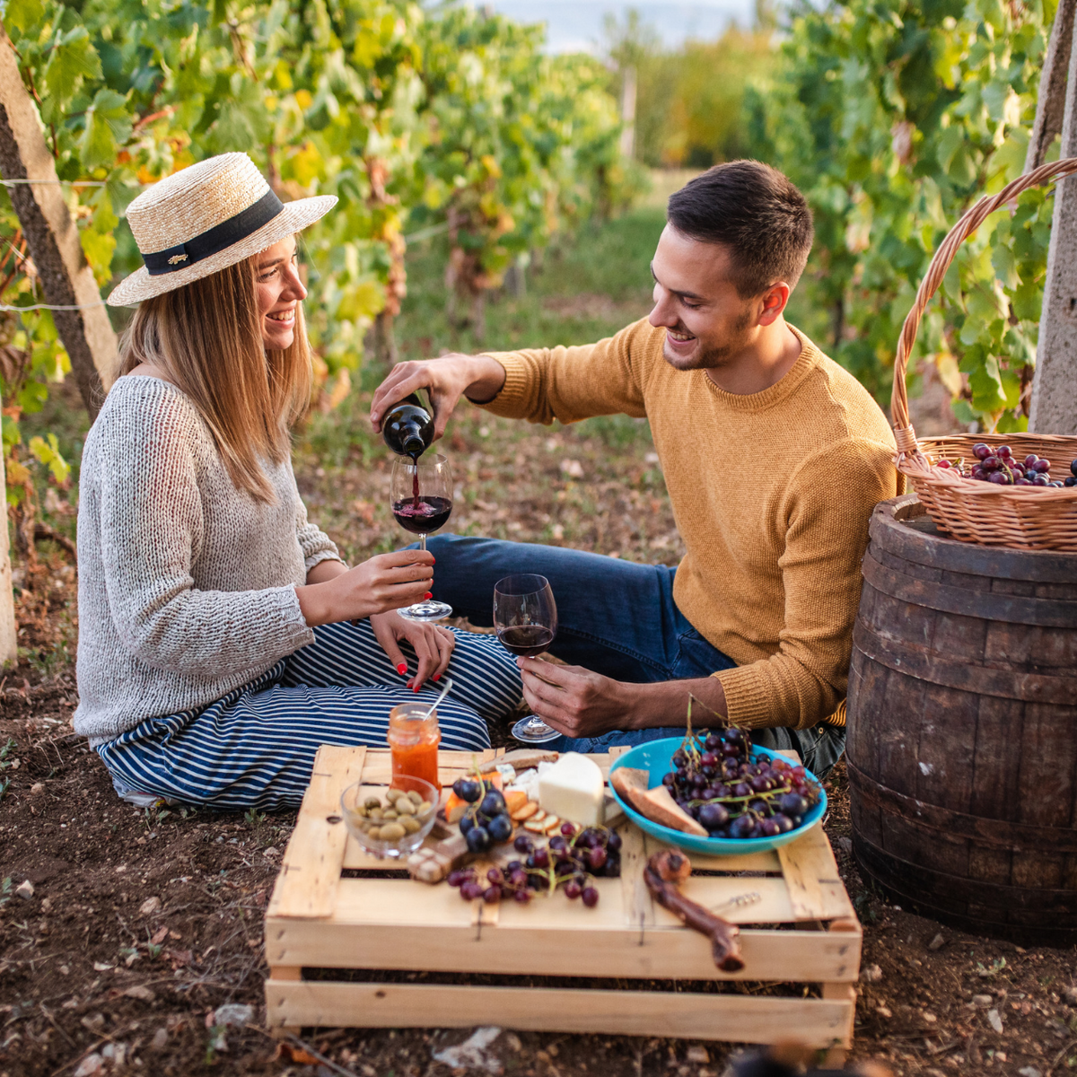 Picnic in vigna
