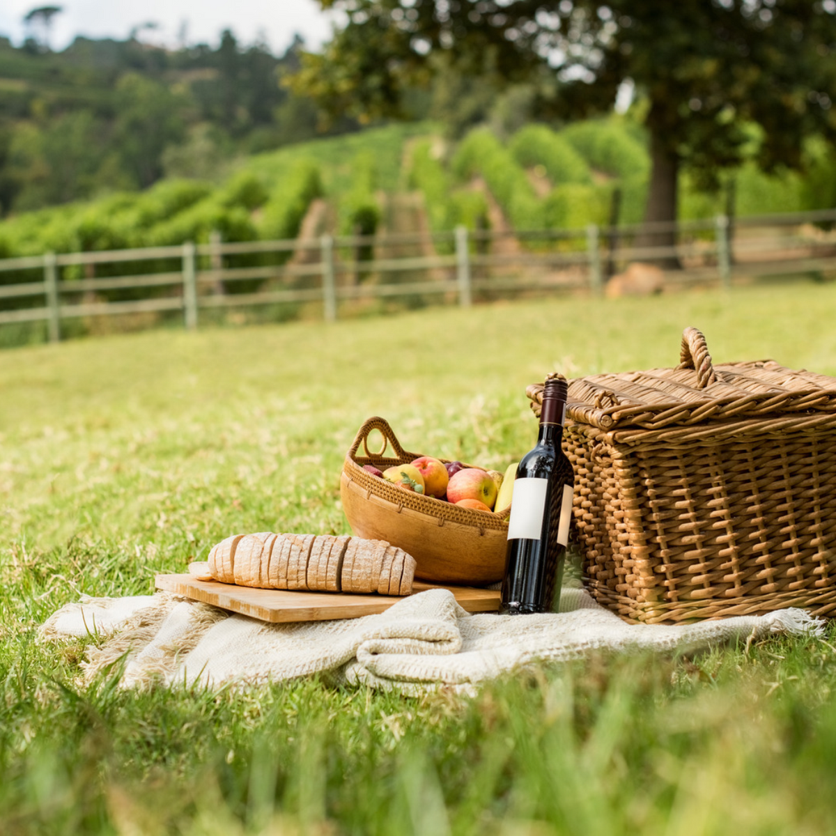 Picnic in vigna