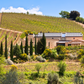Pranzo in masseria a km0