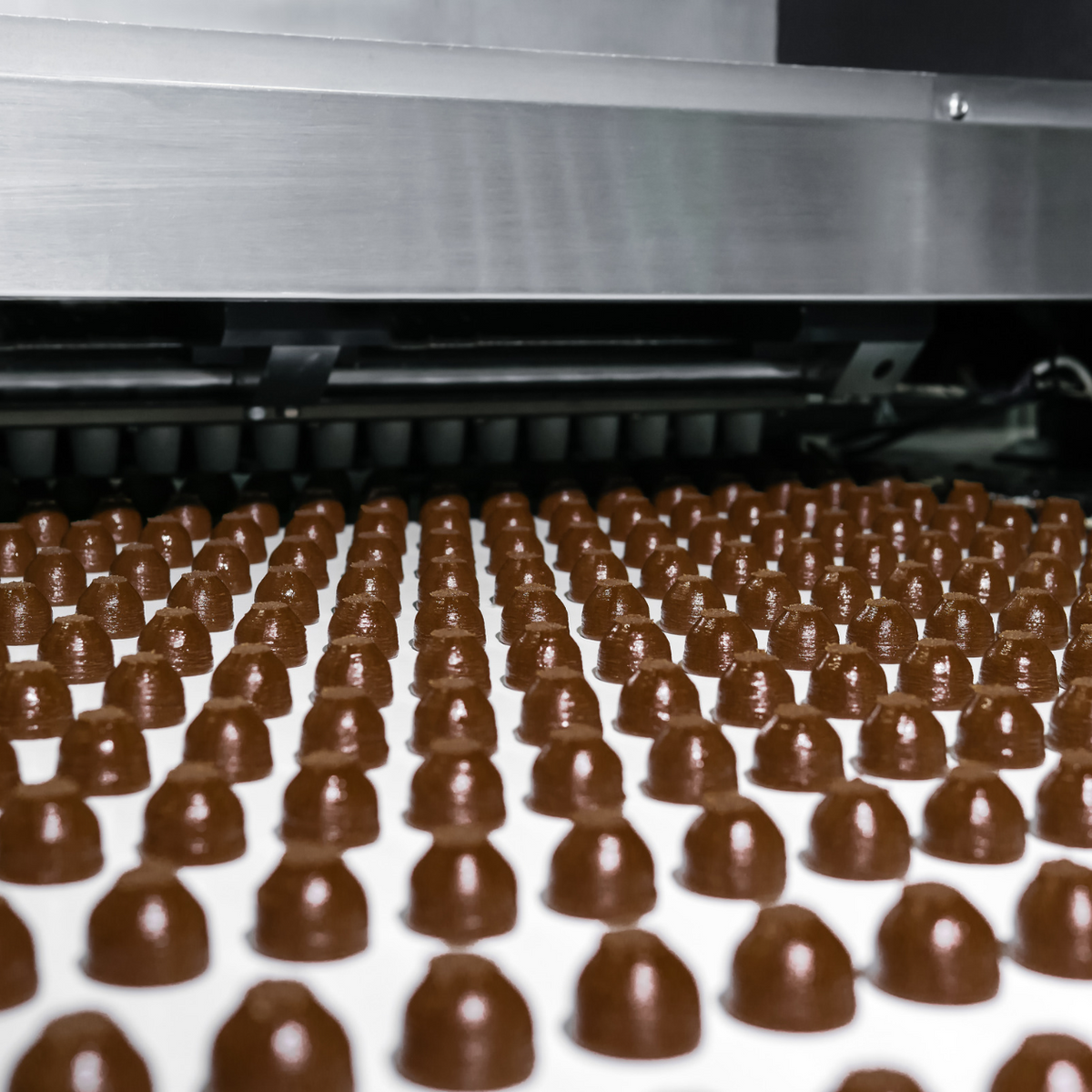 Visita alla fabbrica di cioccolato